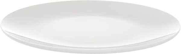 Dinner Plate